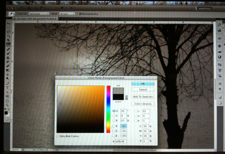 Screen shot colour picker in PhotoShop