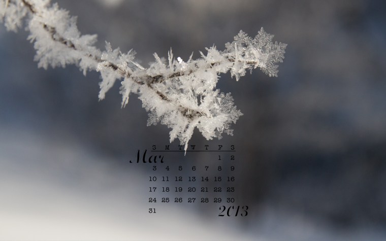 free desktop calendar March 2013 1440x900