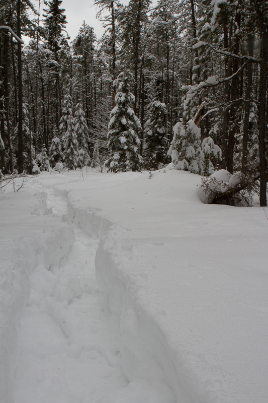 snowshoe trail