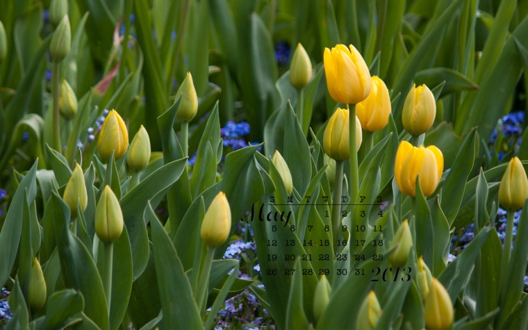 Free desktop calendar 2013-05_1440x900