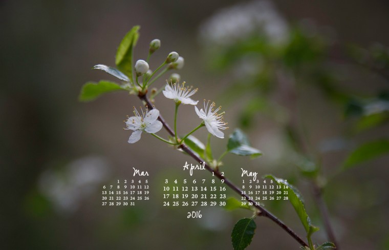 free desktop calendar April 2016_1440x900