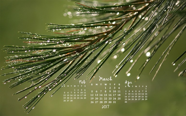 free desktop calendar March 2017_1440x900